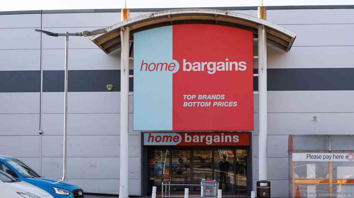 ‘Bring fun to gardens’ with 79p Home Bargains item hailed ‘delightful surprise’
