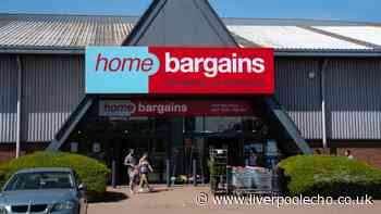 'Transform your garden' with 'beautiful' £6 Home Bargains accessory