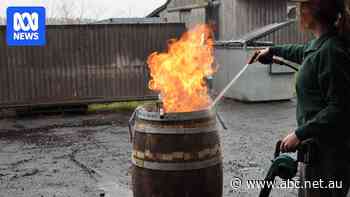 The barrel-makers at the heart of Tasmania's whisky industry