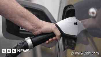 MP says support growing for electric car rethink
