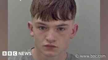 Criticism after man who beat up PC released early