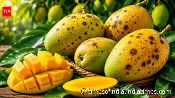 Mango Mayday: Dark spots on produce threaten Himsagar export shipments