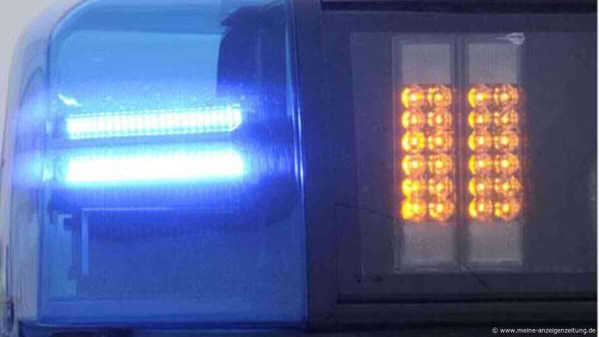 30-Jährige rast durch 50 Meter Wildschutzzaun – über 1,1 Promille