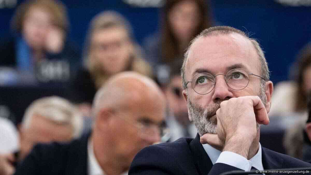 „Oder China macht Teile unserer Industrie platt“: CSU-Vize fordert harte Gegenwehr gegen China