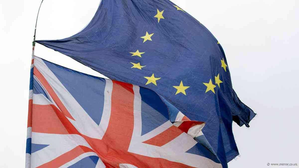 'Majority of voters' want Brexit reversed, claims leading UK pollster