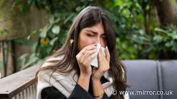 Help reduce hay fever symptoms with 4 'natural antihistamine' fruits
