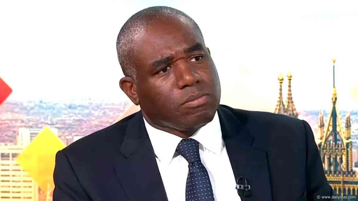 David Lammy reveals he spoke to JD Vance to tell him he's 'wrong' on Henry Nowak case after US vice-president partly blamed teen's murder on 'mass invasion of migrants'