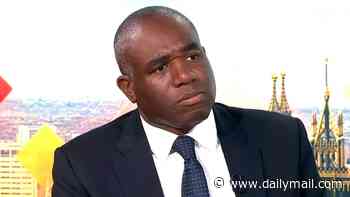 David Lammy reveals he spoke to JD Vance to tell him he's 'wrong' on Henry Nowak case after US vice-president partly blamed teen's murder on 'mass invasion of migrants'