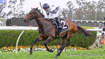 Istolea Merc revved up to prove bookies wrong in comeback run