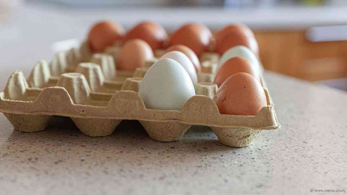 Health benefits of 'white eggs' as Sainsbury's ditch brown shells
