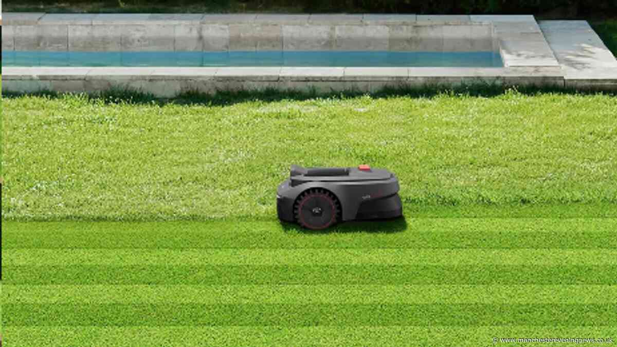 'I thought robot lawnmowers were a total gimmick but I was spectacularly wrong'