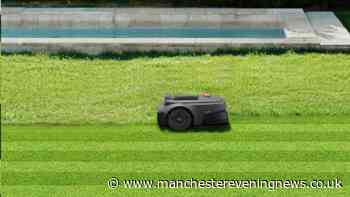 'I thought robot lawnmowers were a total gimmick but I was spectacularly wrong'