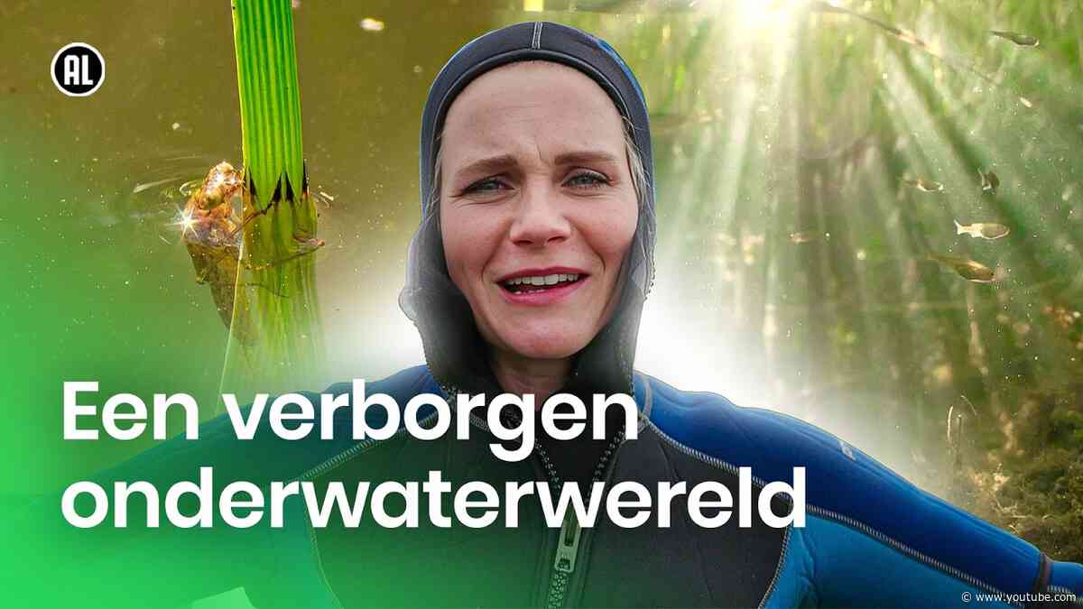Slootjes in Nederland