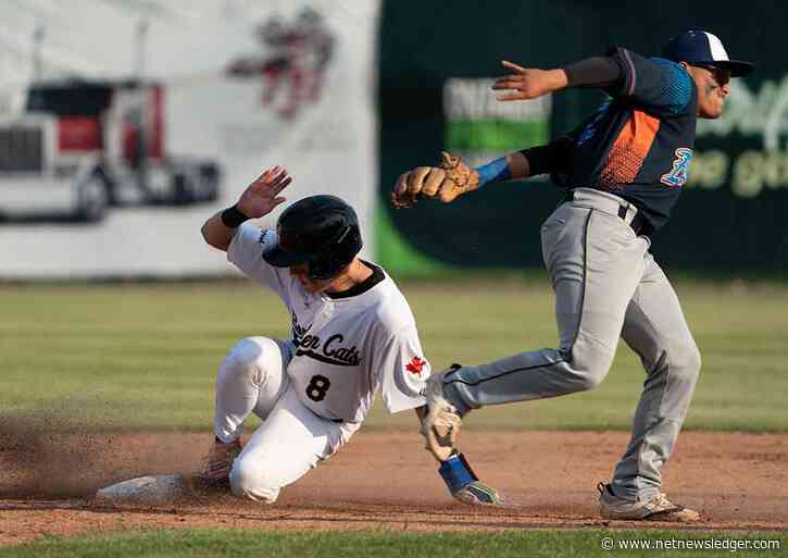 Border Cats rally past Rochester in Saturday night thriller at Port Arthur Stadium