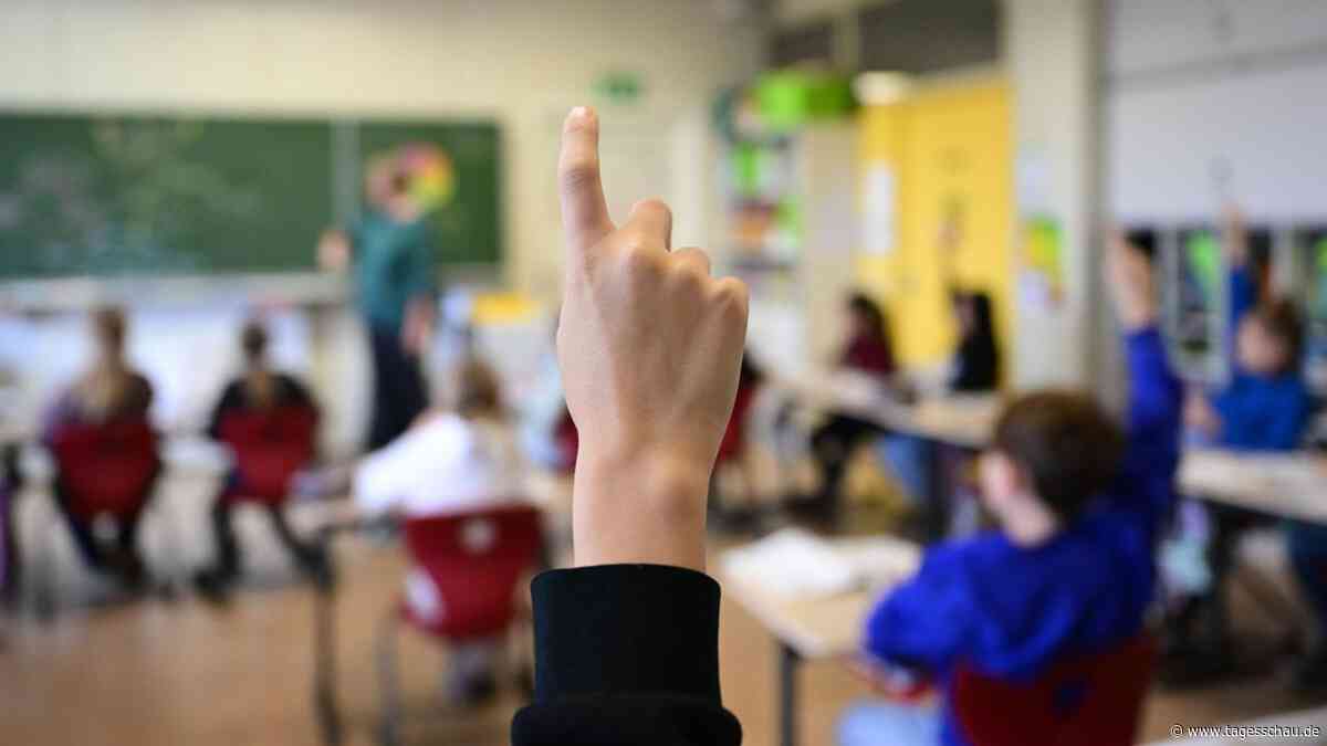 Pläne der AfD: Kann die AfD das Bildungssystem umkrempeln?
