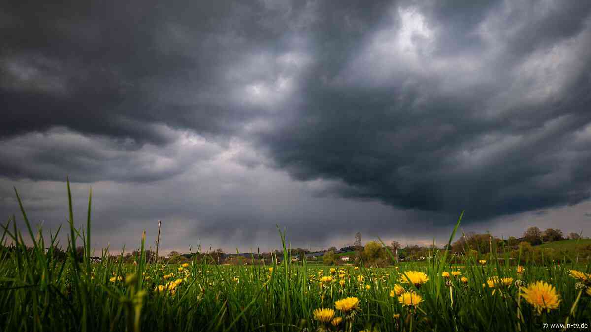 Wetterwoche im Schnellcheck: Ab Dienstag freut sich vermutlich nur noch die Natur