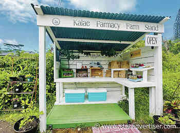 Health officials take notice as bake stands pop up throughout Hilo
