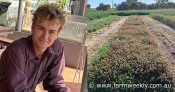 YOUNG GUN: Jake Taylor wants to take some of the complexity out of farming