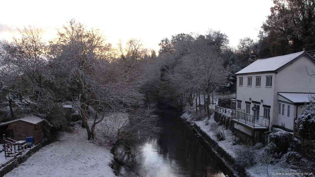 'We quit London for rural Wales and there's one main difference that we love'