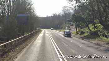 Teen dies in crash as two others rushed to hospital