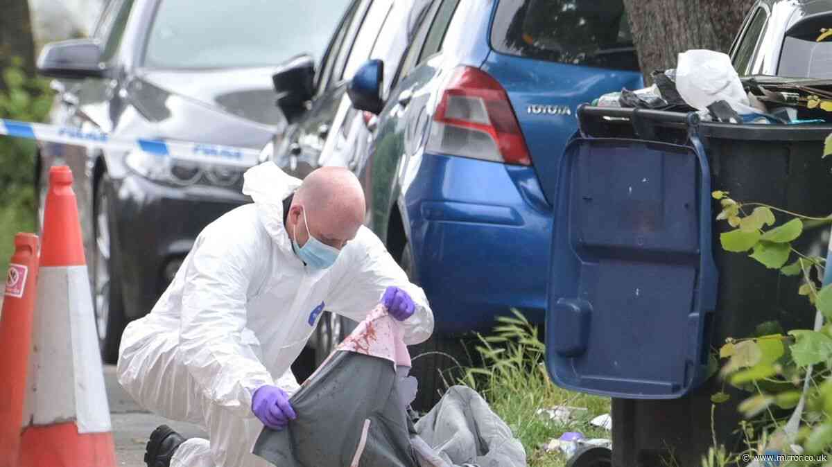 Three arrested for attempted murder after bloody attack on residential street