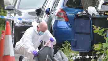 Three arrested for attempted murder after bloody attack on residential street