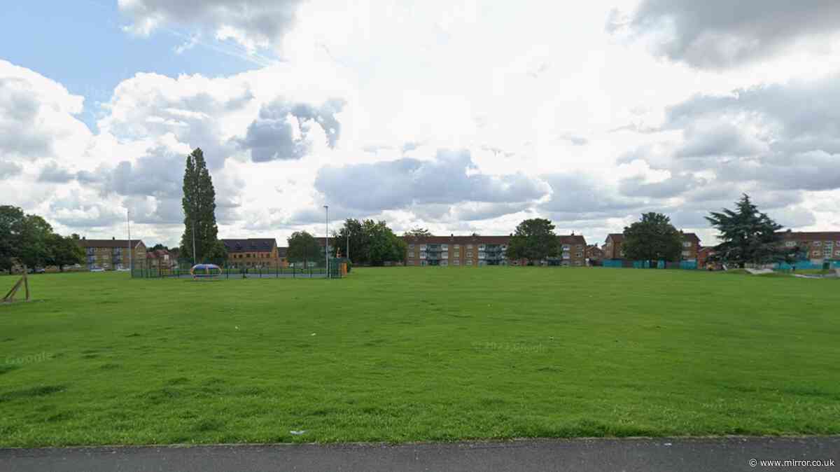 Two teens flown to hospital after 'masked gang stabbing attack'