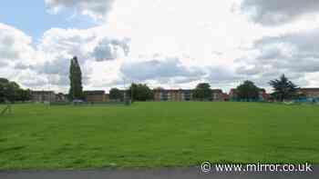 Two teens flown to hospital after 'masked gang stabbing attack'
