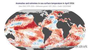 Godzilla El Nino set to be worst in history could leave UK 'with bare supermarket shelves and rising prices'