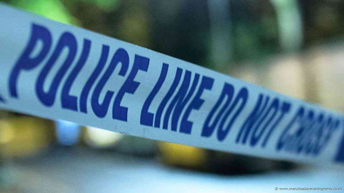 Have-a-go heroes detain suspected knife mugger after woman's handbag robbed