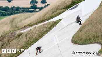 Army helicopters and human walls used in white horses' glow-ups
