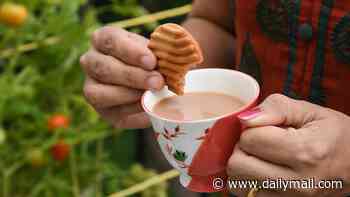 Revealed: The worst biscuits for DUNKING, according to science - and it's bad news for Gingernut fans