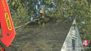 Tree falls on home in Amherst due to strong winds