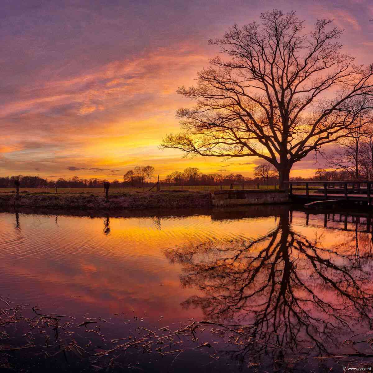 Met veel geduld kreeg Gerrit zijn perfecte foto van de watermolen van Oele