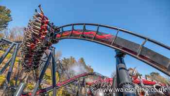 Alton Towers unlimited annual pass is now on sale for 19p a day