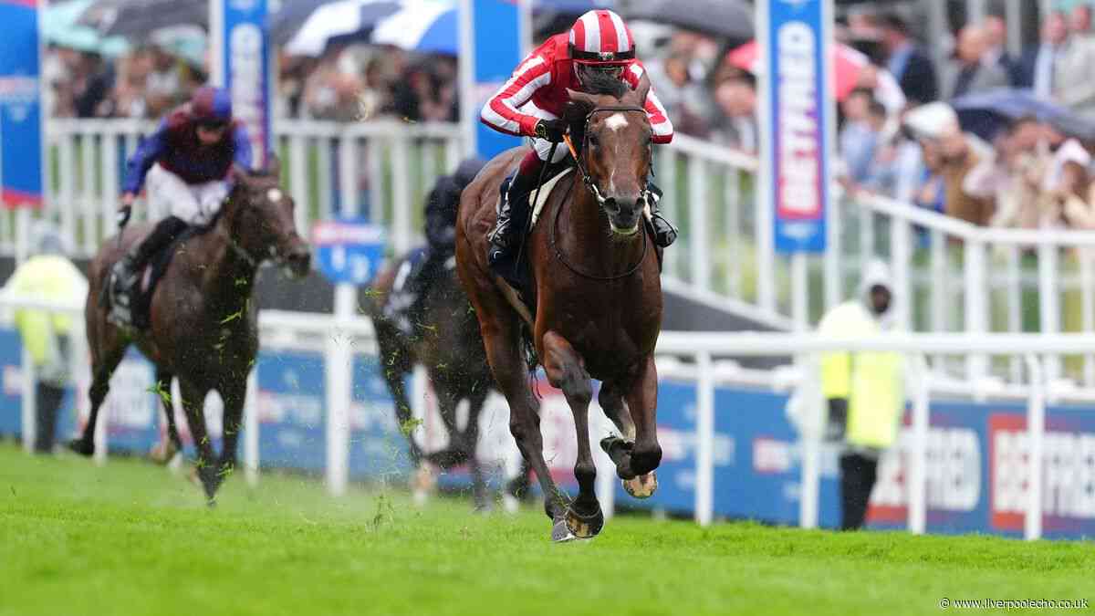 Bay City Roller eyes Arc bid after Coronation Cup success