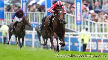 Bay City Roller eyes Arc bid after Coronation Cup success