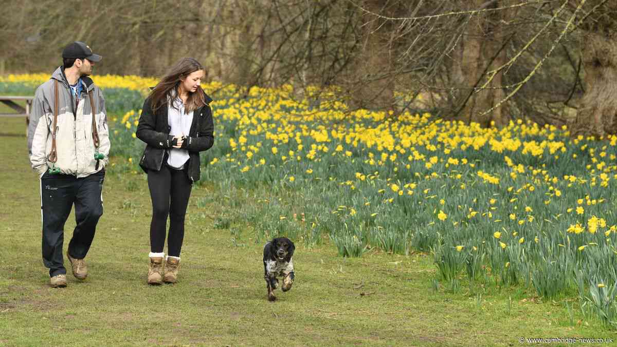 The beautiful country park with a maze, children’s play area and café