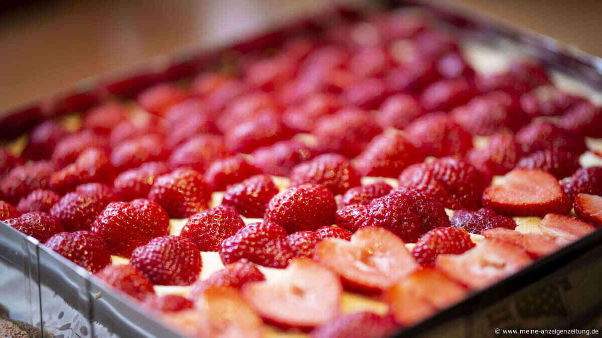 Perfekt für die Erdbeerzeit: Von klassisch bis kreativ – diese 3 Rezepte sollten Sie kennen
