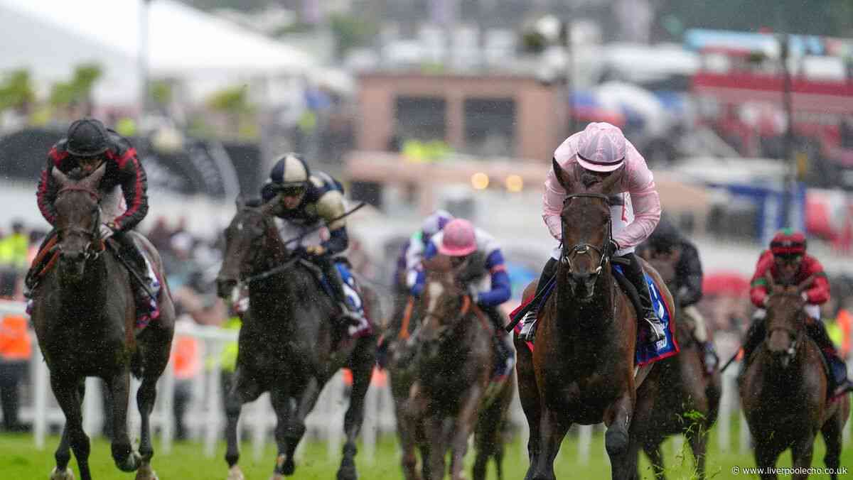 Christmas Day comes early with victory in the Betfred Derby at Epsom