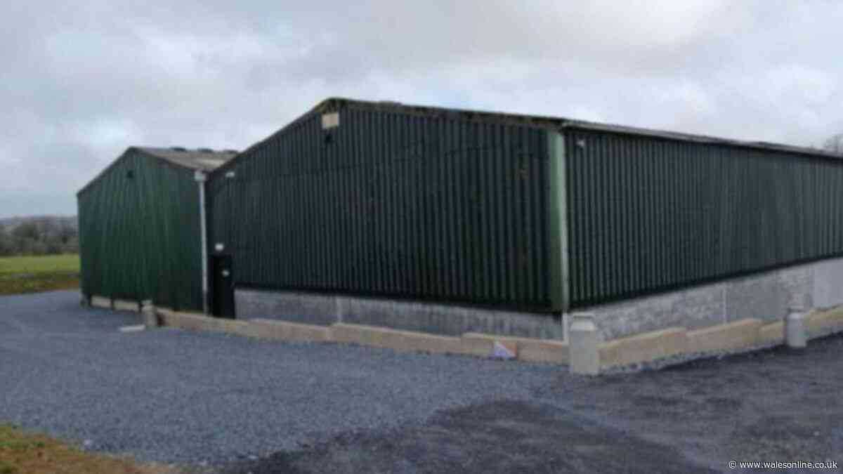 Narberth farm barns converted into gym and Pembrokeshire's first padel courts