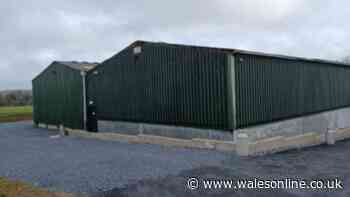 Narberth farm barns converted into gym and Pembrokeshire's first padel courts