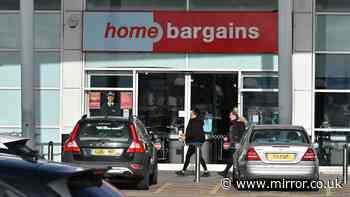 Hair '20 times stronger' with £45 shampoo cut to £8 at Home Bargains