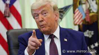 Donald Trump snubbed by celebrities for his UFC fight at White House
