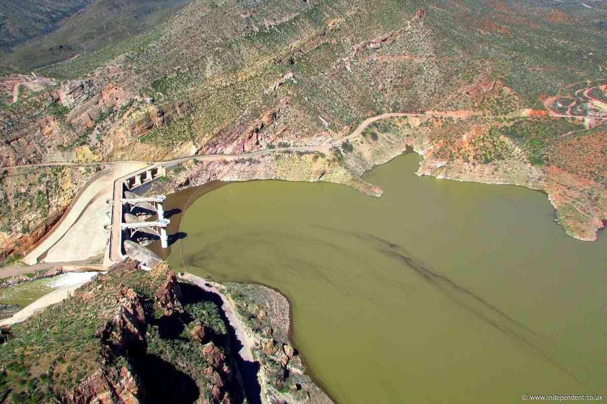 Popular fishing lake forced to close after all its fish die
