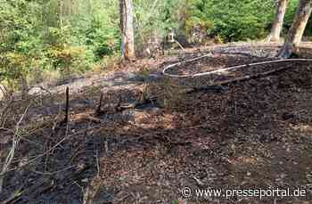 FW Heimbach: Waldbrand im Kermeter fordert Einsatzkräfte aus zwei Landkreisen