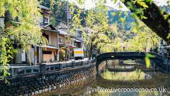 Brits can get £14,000 by moving to Japan countryside - but there's a catch