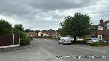 Woman arrested as man and dogs found dead in West Derby house