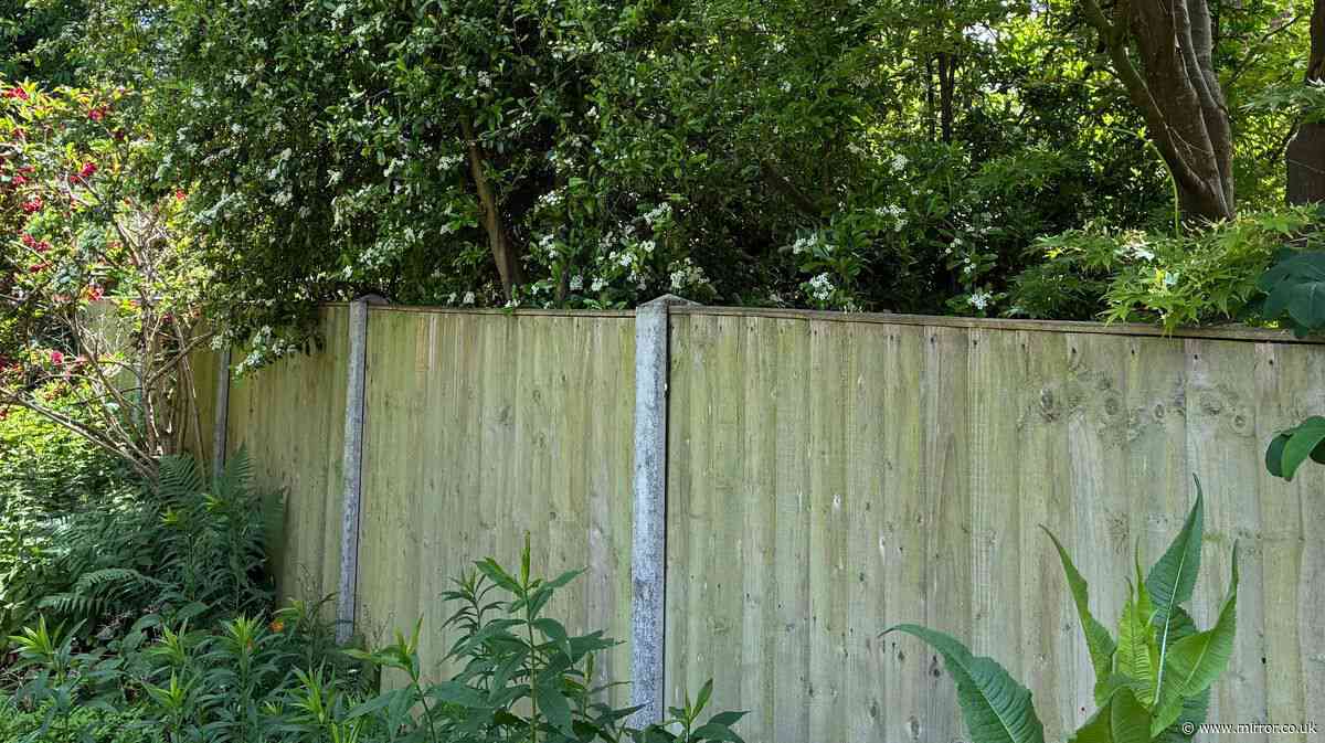 My neighbour wanted to paint fence in our garden while we had BBQ now threatening legal action