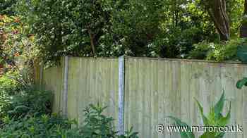 My neighbour wanted to paint fence in our garden while we had BBQ now threatening legal action